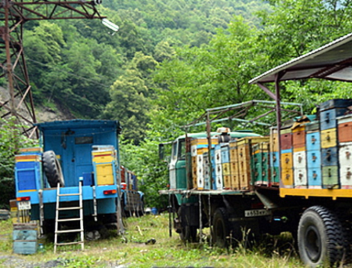 Передвижная пасека в Горной Санибе, Северная Осетия. Фото Алана Цхурбаева, http://www.kavkaz-uzel.ru/blogs/119