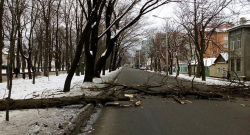 Последствия сильного ветра в Ставропольском крае. Фото http://bloknot-stavropol.ru/news/veter-chut-poutikhnet-na-stavropole-23-noyabrya-796688