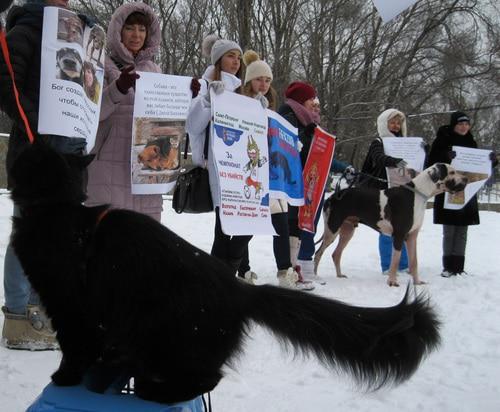 Пикет в защиту бездомных животных в Ростове-на-Дону. 24 февраля 2018 года. Фото Константина Волгина для "Кавказского узла"