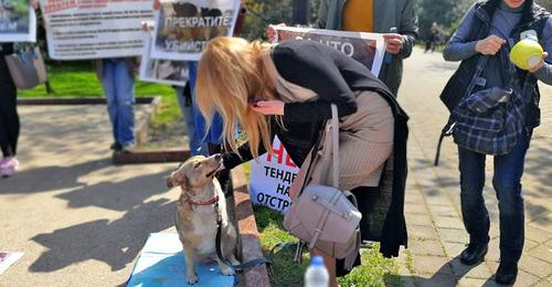 Митинг зоозащитников. Сочи, апрель 2018 г. Фото Светланы Кравченко для "Кавказского узла"