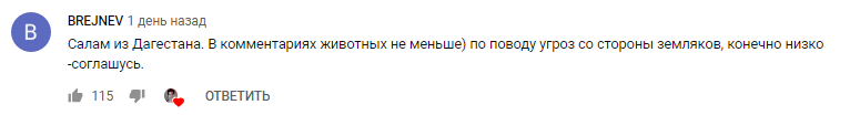 Скриншот комментария пользователя к видео Дениса Косякова, 26 февраля 2019 года, https://www.youtube.com/watch?v=PWw21Sfymqk