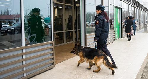 Кинолог с собакой. Фото Елены Синеок, Юга.ру