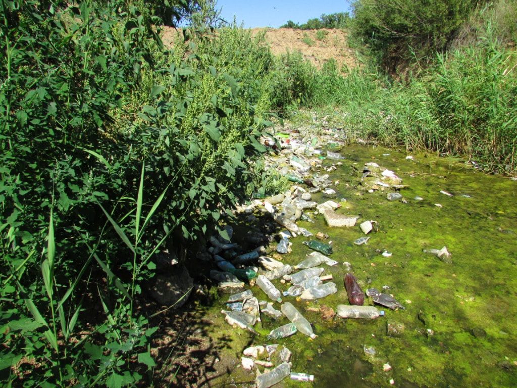 Водоем на месте ликвидированной свалки у хутора Закутского. Фото Вячеслава Ященко для "Кавказского узла"