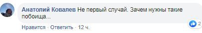 Скриншот комментария в группе ТАСС в Facebook. https://www.facebook.com/tassagency/posts/2699532030115873?__tn__=-R