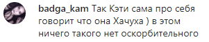 Скриншот комментария к извинениям Гуфа, https://www.instagram.com/tv/B3NgG3hHvwj/