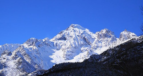 Цейский ледник. Фото: Aleksey Ageychenko https://ru.wikipedia.org