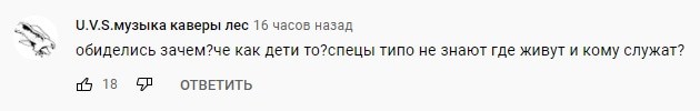 Скриншот комментария в youtube-паблике ''Народный Патриот''. https://www.youtube.com/watch?v=Q1yjTnw8z4o