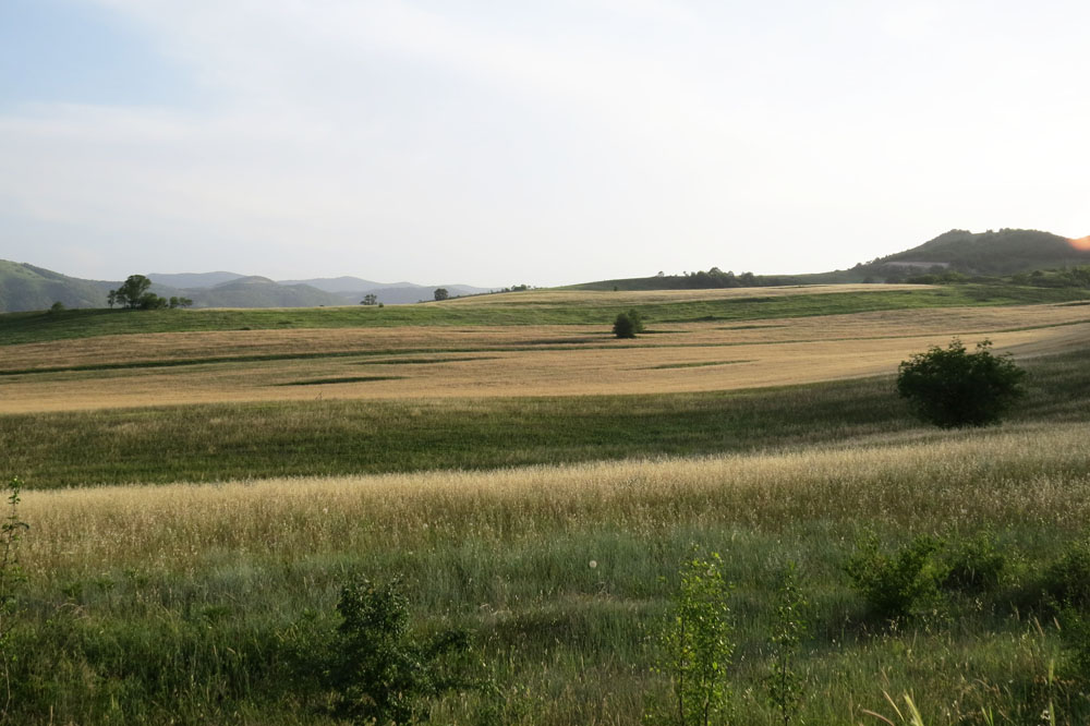 Летние зарисовки.