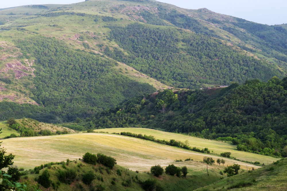 Летние зарисовки.